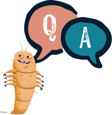 find answers button