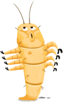a mite that appears to be whistling